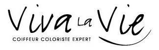 logo vlv noir